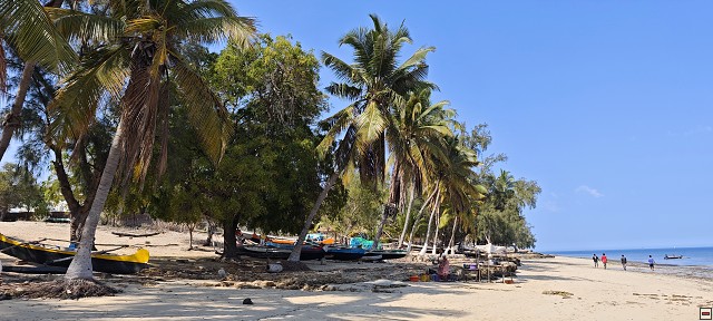 img00017.jpg