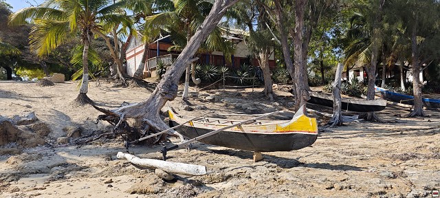 img00020.jpg