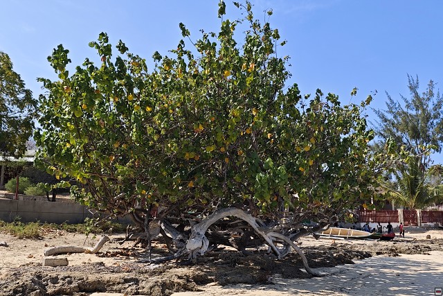 img00022.jpg
