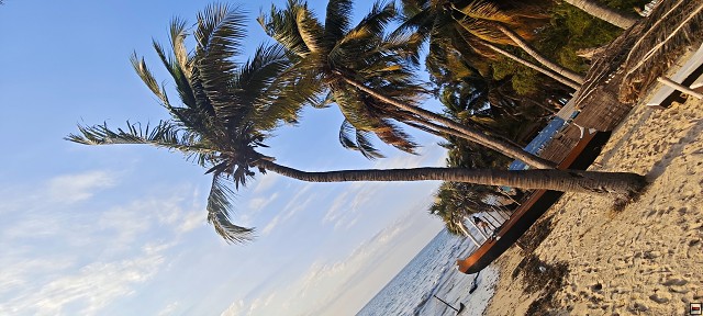 img00036.jpg