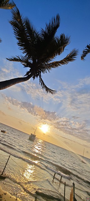 img00040.jpg