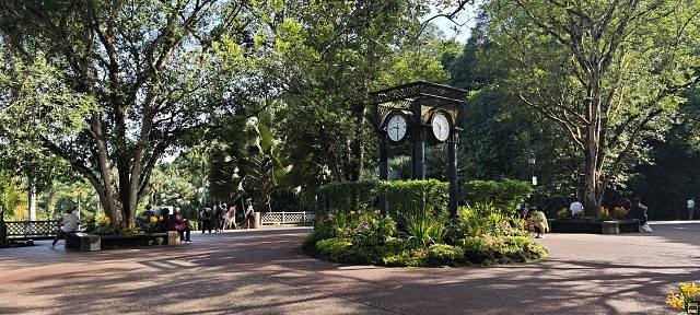 img00006.jpg