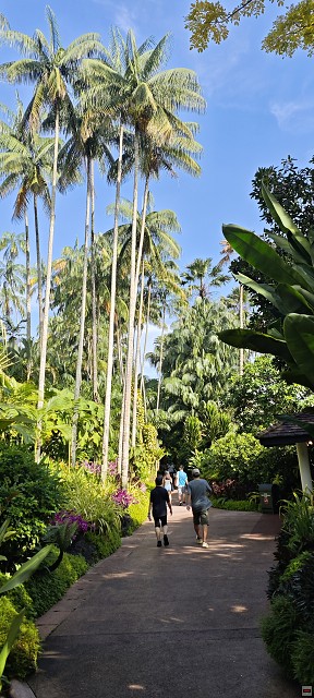 img00007.jpg