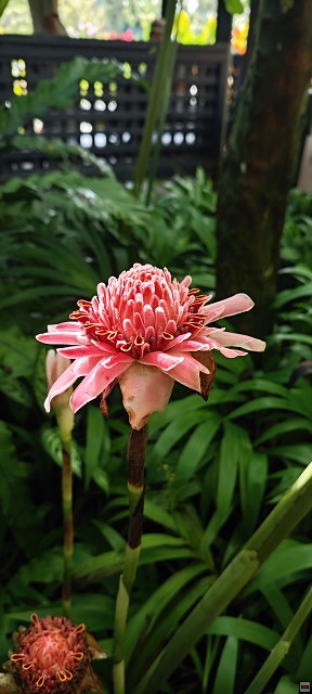 img00015.jpg