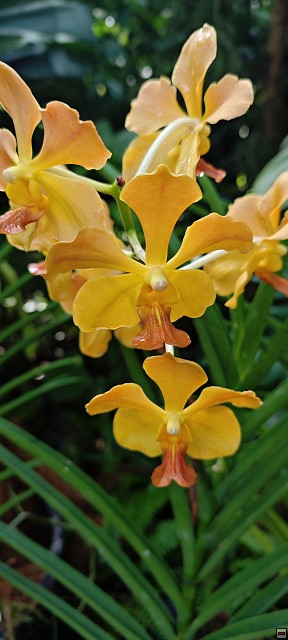 img00018.jpg