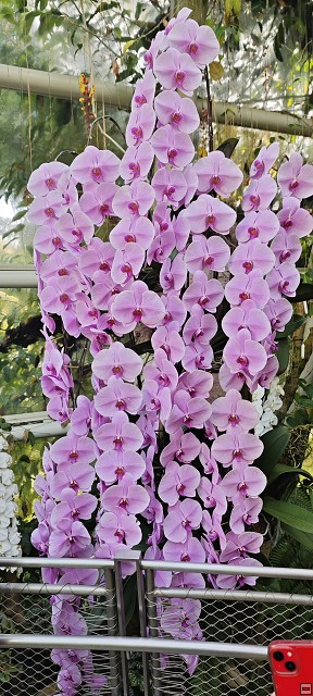img00029.jpg