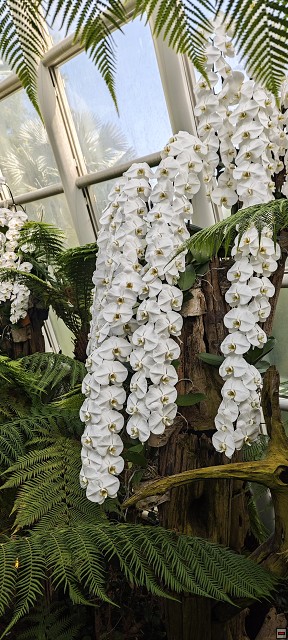 img00030.jpg