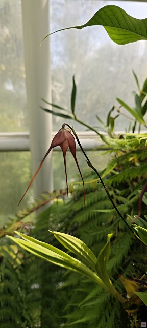 img00031.jpg