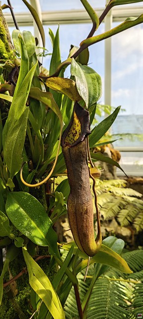 img00035.jpg