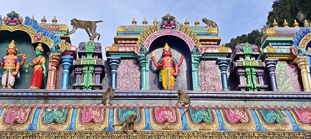 img00005.jpg