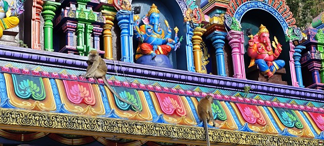 img00008.jpg