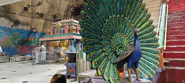 img00016.jpg