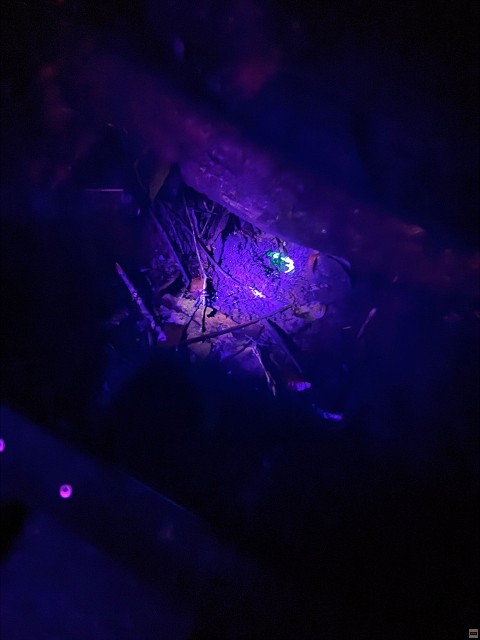 img00033.jpg