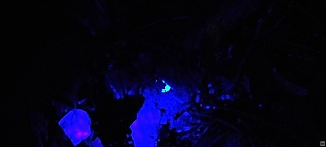 img00035.jpg