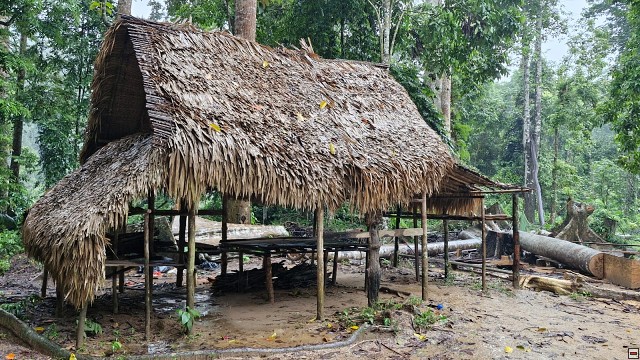 img00017.jpg