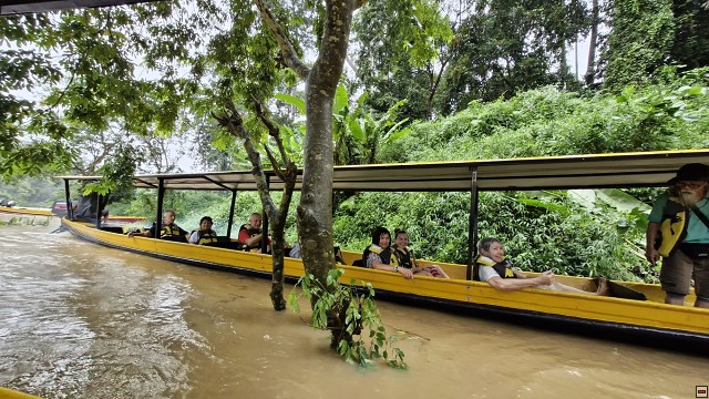 img00039.jpg