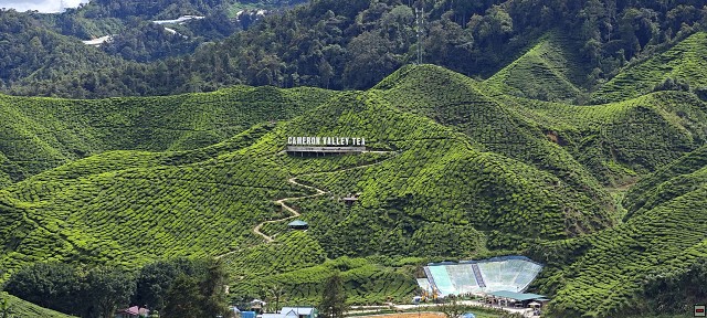 img00005.jpg