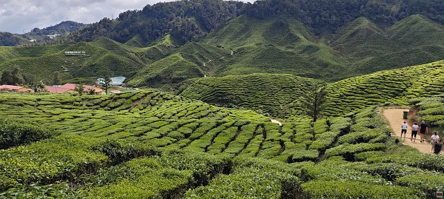 img00009.jpg
