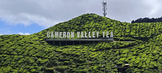 img00016.jpg