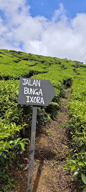 img00018.jpg