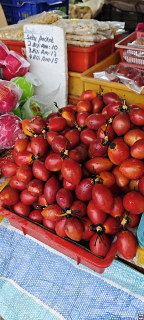 img00011.jpg