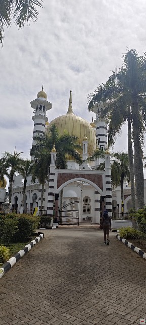 img00017.jpg