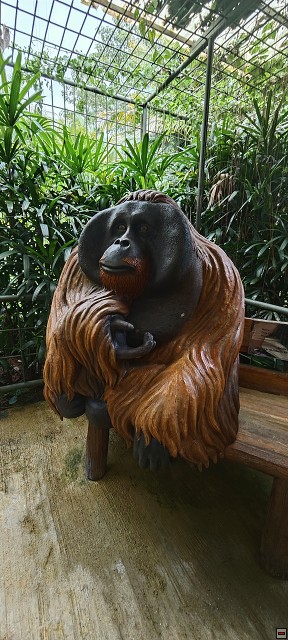img00037.jpg