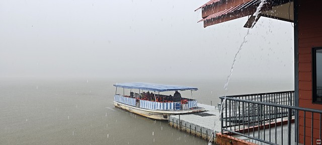 img00042.jpg