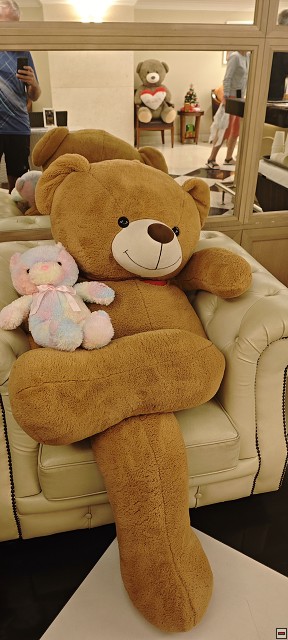img00047.jpg