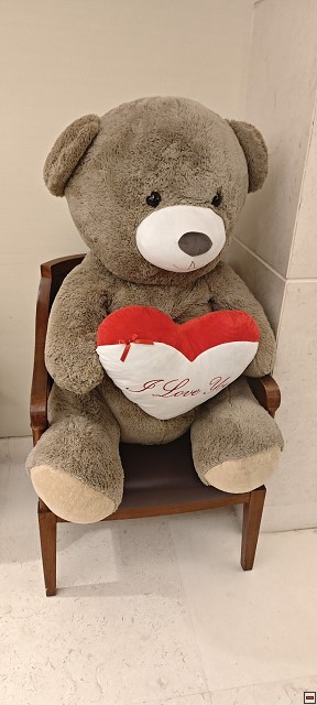 img00048.jpg