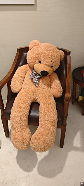 img00049.jpg
