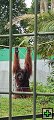 thn00034.jpg
