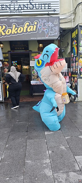 img00064.jpg