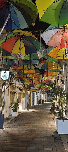 img00083.jpg