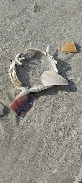 img00008.jpg