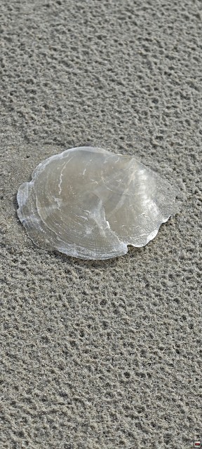 img00012.jpg