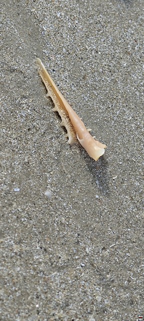 img00013.jpg