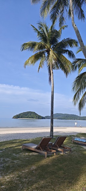 img00006.jpg