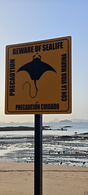 img00002.jpg