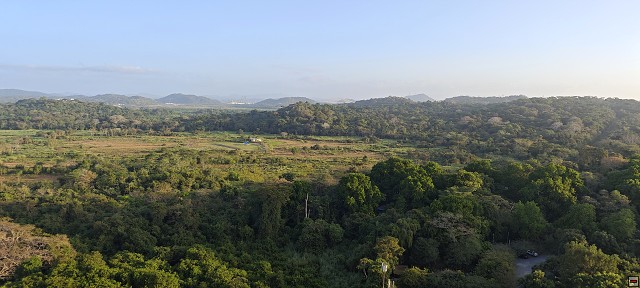 img00011.jpg