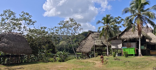 img00029.jpg