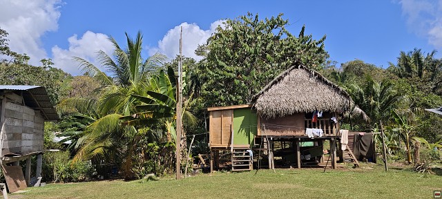 img00031.jpg