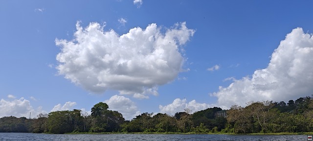 img00039.jpg