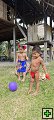 thn00033.jpg