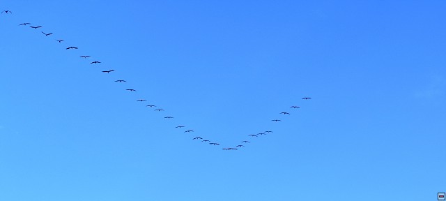 img00016.jpg