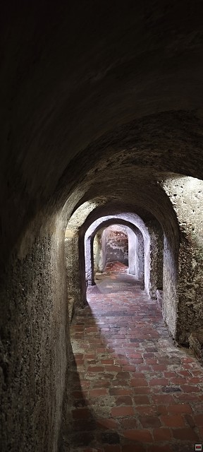 img00005.jpg
