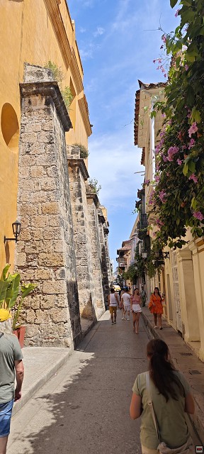 img00014.jpg