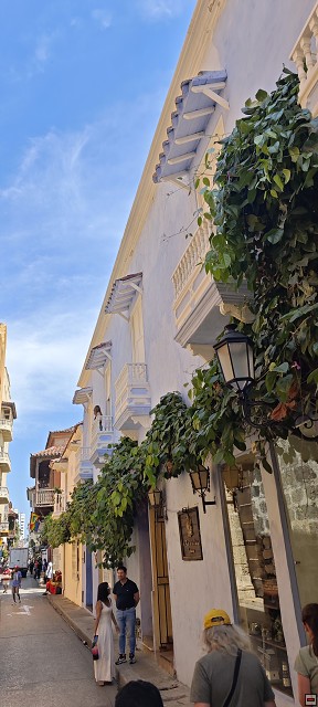 img00015.jpg