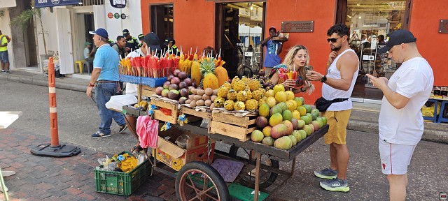 img00017.jpg