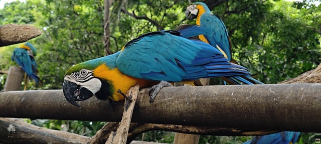 img00031.jpg